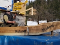 IMG-20190303-WA0012