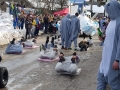 IMG-20190303-WA0033