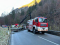 IMG-20241105-WA0012_