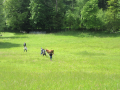 IMG-20250526-WA0005_