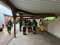 IMG-20250605-WA0004_